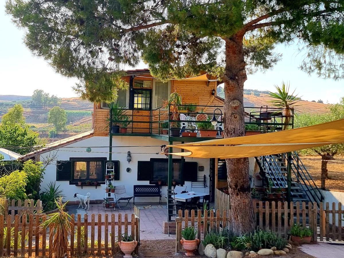 Sunset Valley Village Motta SantʼAnastasia Extérieur photo